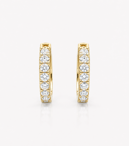 Huggie Earrings
