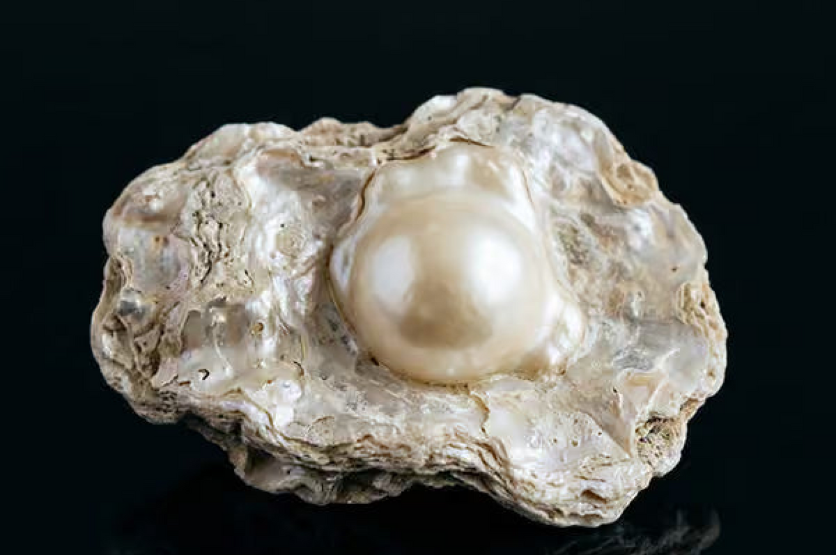Pearl